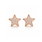 Rose Gold Star Stud Earrings