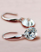 Dailywear AD Stone Earrings